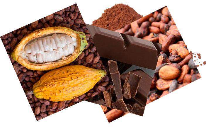 Chocolate and cacao