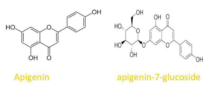Chemical structure of apigenin-7-glucoside and Apigenin