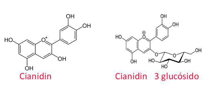 Cyanidin 3 glucoside or cyanidin 3-glycoside