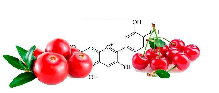 Properties of Cyanidin, Antioxidant and E163a Dye