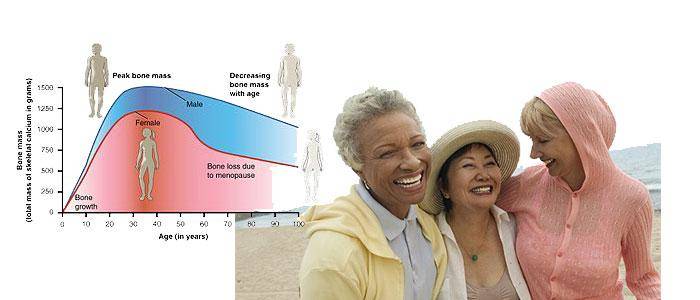 Benefits of daidzein isoflavone for menopause