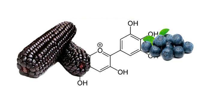Delfinidin, properties in foods and uses in capsules