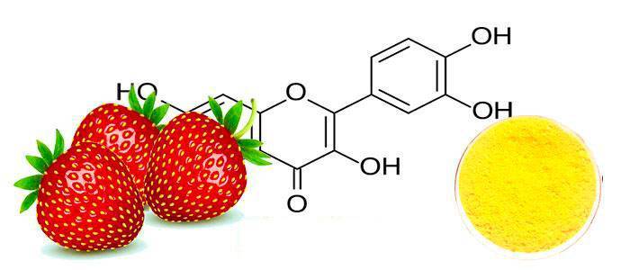 Fisetin properties