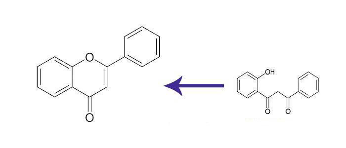 Relationship between the flavone naringenin and flavonoids