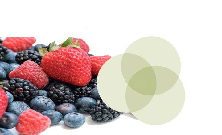 Properties of flavonols