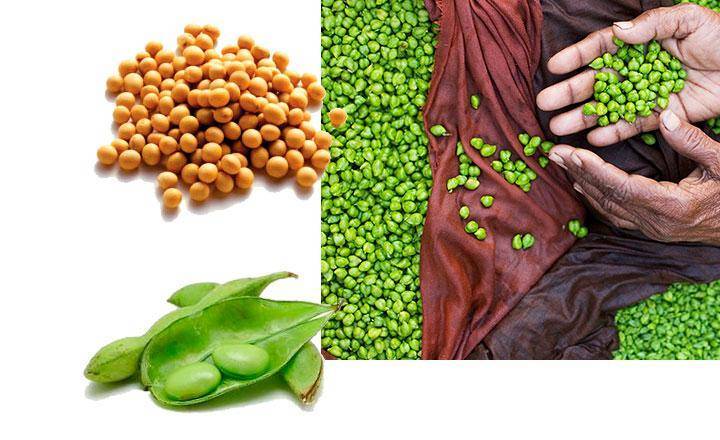 Foods containing soy isoflavones