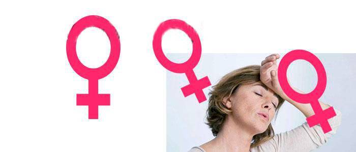 Genistein and menopause