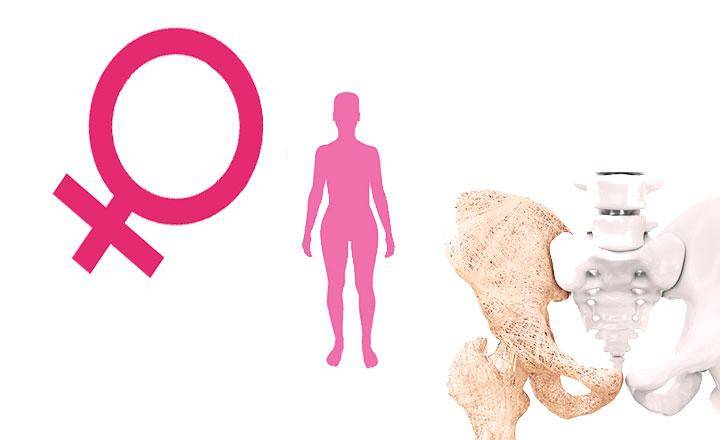 Soy isoflavones benefits and properties