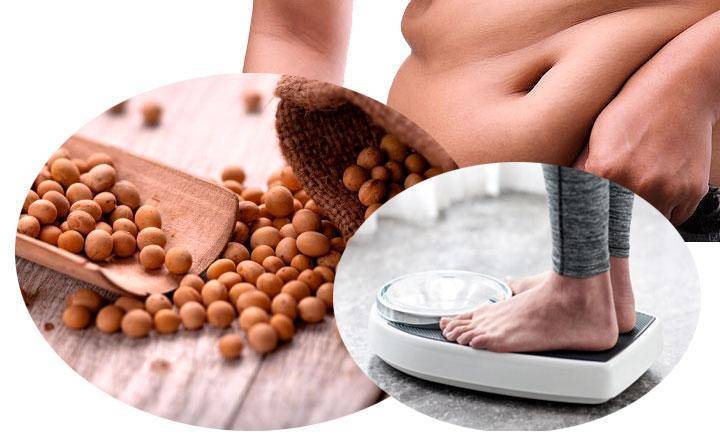 Soy isoflavones make you fat, yes or no?