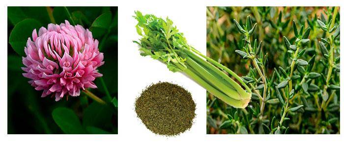 The best foods with luteolin