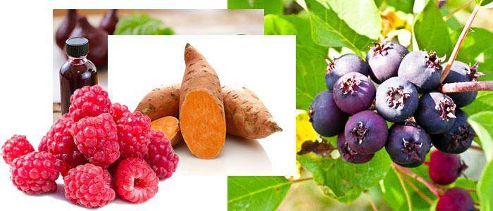 Foods with the highest amount of peonidin