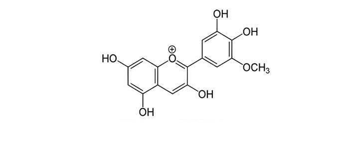 Petunidin, properties, benefits, uses