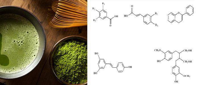 Properties and benefits of natural polyphenols for health