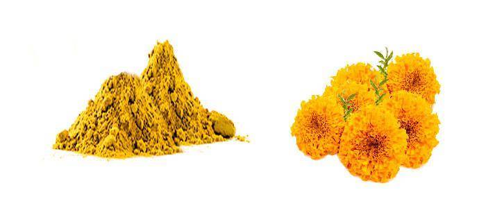 Zeaxanthin contraindications and side effects
