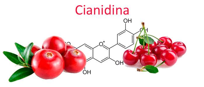 Eegeschaften vu Cyanidin, Antioxidant a Faarfstoff E163a
