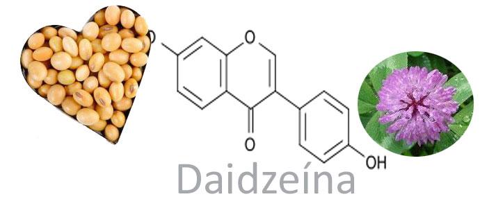 Daidzein, Eegenschaften a Virdeeler vun der potentster Isoflavon