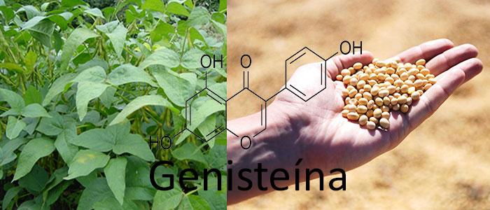 Genistein, eegeschafte bei liewensmëttel, kosmetik a menopaus