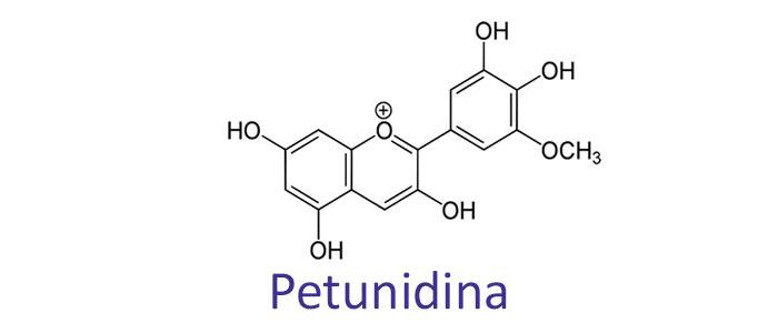Petunidin, Eegeschaften, Virdeeler, Notzungen