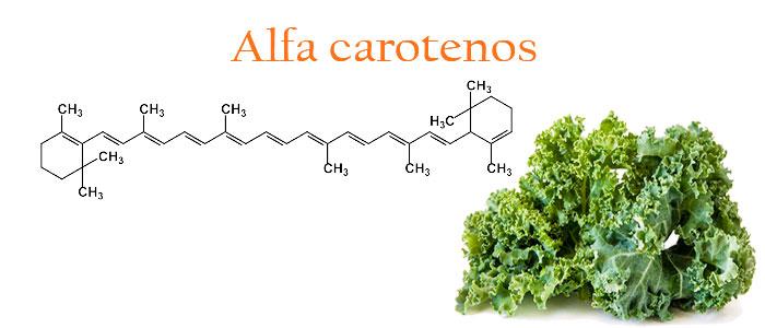 Que son los alfa carotenos y cuáles son sus propiedades