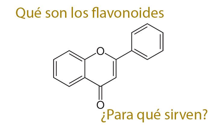 Que son los flavonoides y para que sirven