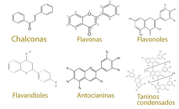 Tipos de flavonoides, nombres y clasificación