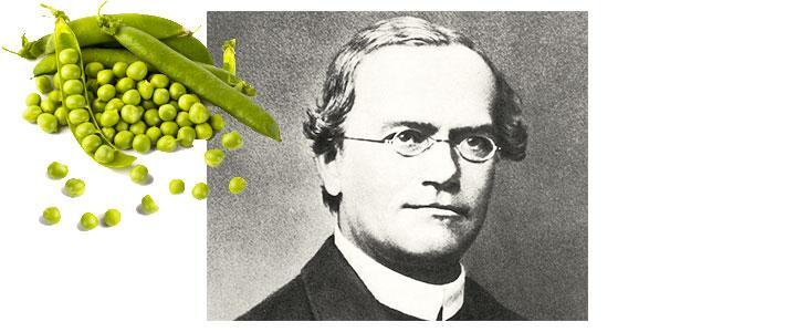 Gregor Johann Mendel