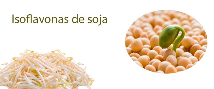 Beneficios de las isoflavonas de soja o de soya
