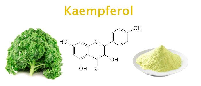 Kaempferol flavonoide, Propiedades, Beneficios y Alimentos
