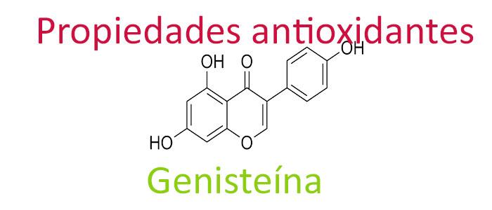 Propiedades y beneficios antioxidantes de genisteina