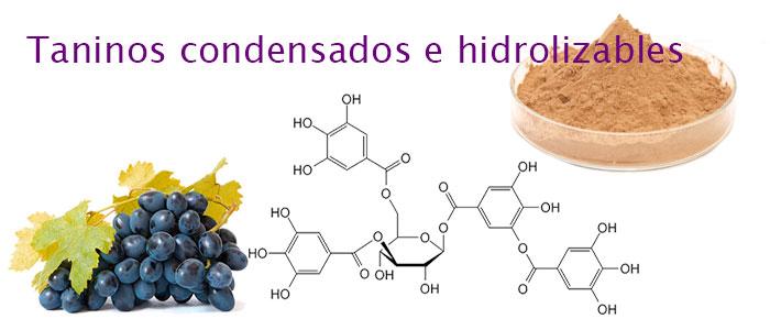 单宁,葡萄酒、皮革、植物和食物中的作用及其特性...